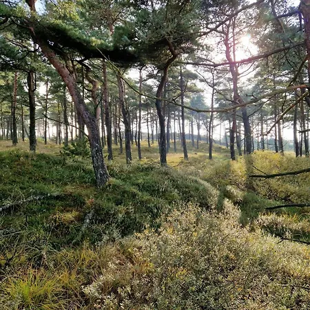 Luxury Retreat With Pool - By Traum