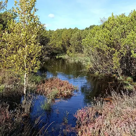 Luxury Retreat With Pool - By Traum Kongsmark