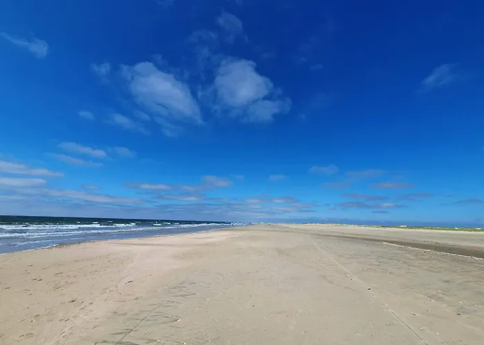 Luxury Retreat With Pool - By Traum بيت للعطل Kongsmark