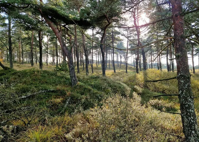 Luxury Retreat With Pool - By Traum