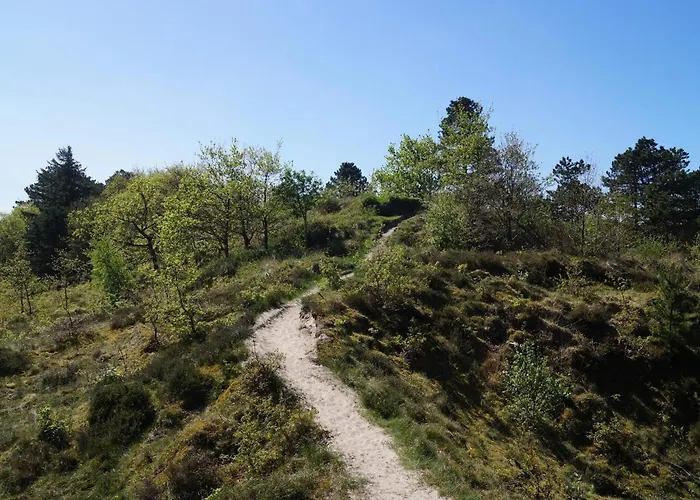 بيت للعطل Luxury Retreat With Pool - By Traum Kongsmark