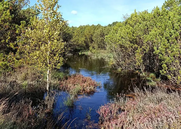 Luxury Retreat With Pool - By Traum Kongsmark
