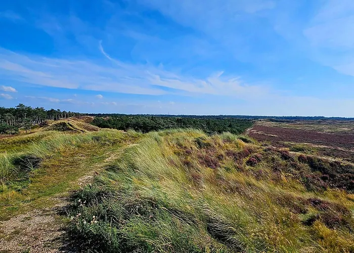 Luxury Retreat With Pool - By Traum * Kongsmark