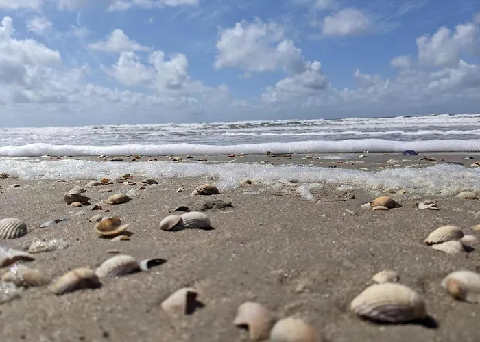 Luxury Retreat With Pool - By Traum بيت للعطل *